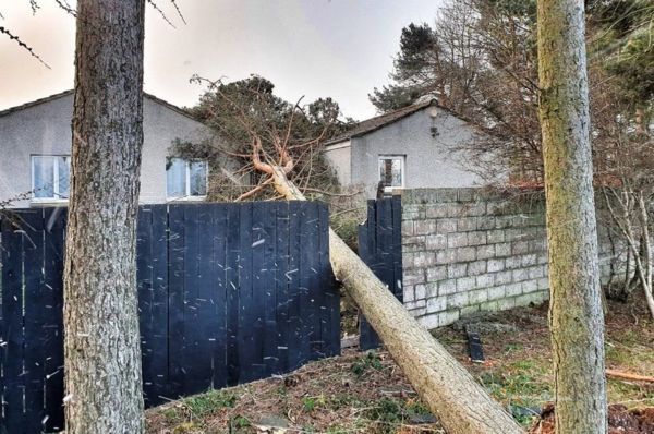 Шторм "Арвен" в Британии: снегопады, поваленные деревья, отключения электричества и человеческие жертвы. Фото