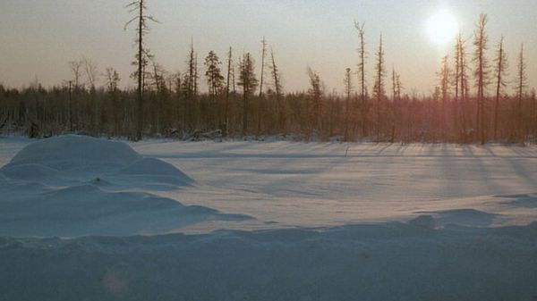 "Ангарский маньяк" Михаил Попков получил второй пожизненный срок за убийство десятков женщин