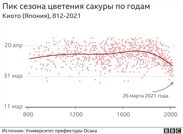 В Японии 1200 лет записывают даты цветения сакур. Они никогда не цвели настолько рано