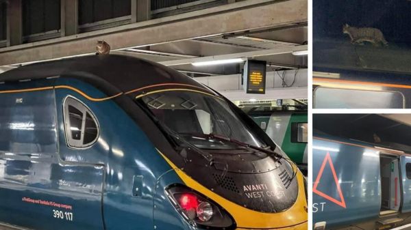 Дайджест: США сделали ставку на дипломатию, Starship успешно сел и взорвался