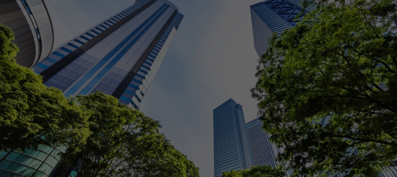 Акции &laquo;зеленых&raquo; компаний резко выросли на фоне экологической политики администрации Байдена 