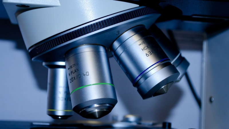 Американские ученые опровергли основную теорию происхождения позвоночных