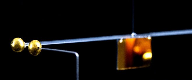 Австрийские ученые измерили гравитационное притяжение божьей коровки