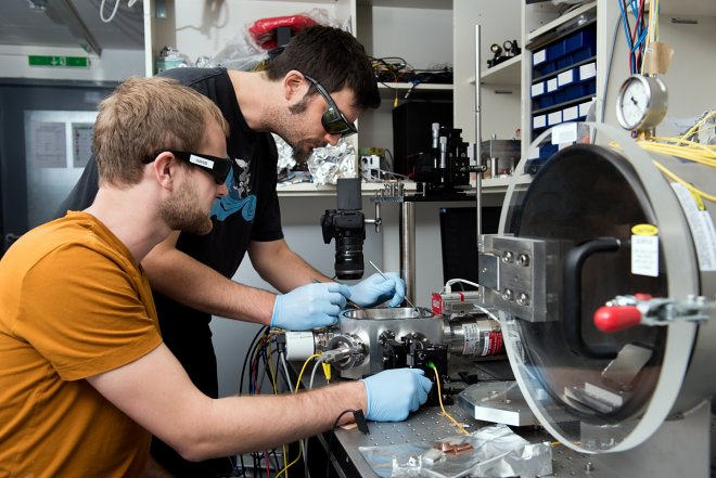 Австрийские ученые измерили гравитационное притяжение божьей коровки