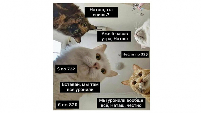 Автор мема про котов и Наташу регистрирует торговый знак &laquo;Наташа, мы все уронили&raquo;