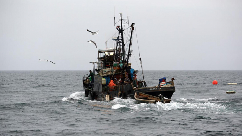 Бизнес предупредил о подорожании самой дешёвой рыбы. Власти не увидели для этого причин