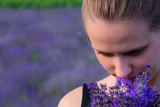 Чем пахнет во &laquo;дворце памяти&raquo;: новые исследования мозга человека