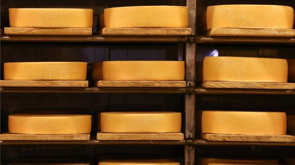 Италия попросила Москву отменить запрет на пармезан. Что ответили в России?