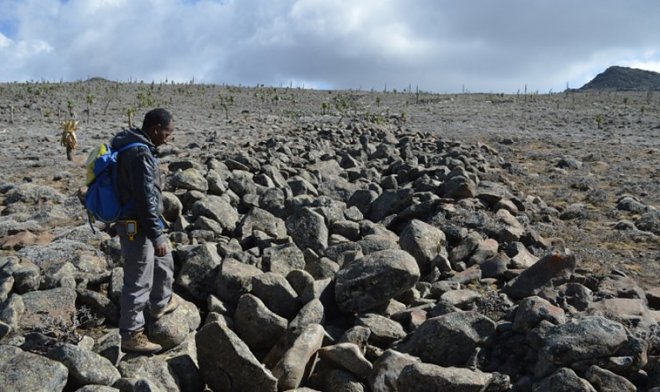 Гигантские &laquo;тигровые полосы&raquo; из камней в Эфиопии хранят тайну последнего оледенения 