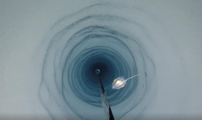 Глубоко под шельфом Антарктики геологи нашли неизвестных науке живых существ