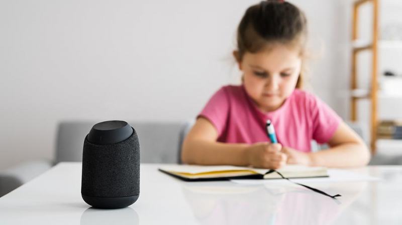 ИИ что дальше: чем опасно восприятие голосовых помощников как живых существ