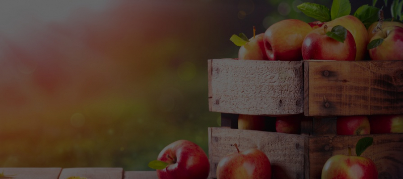 Новиков и Высоцкая поддержали отечественных производителей в ролике &laquo;Россельхозбанка&raquo; 