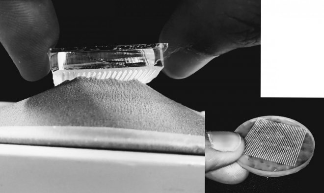 Новые биомиметические липучки не повредят ткань, в отличие от Velcro