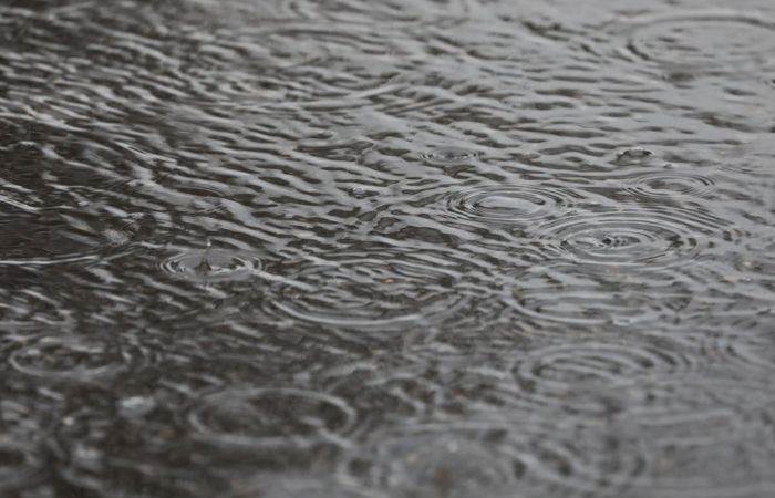 Пятая часть месячной нормы осадков выпала за ночь в Москве