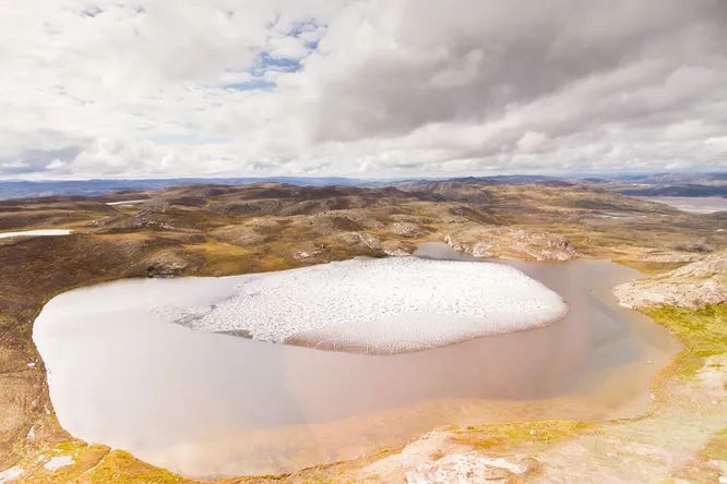 Подо льдами Гренландии найдены окаменелости растений. Ученые предполагают, что когда-то в этих местах были леса