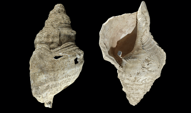 Послушайте, как звучит самый древний духовой инструмент в мире 