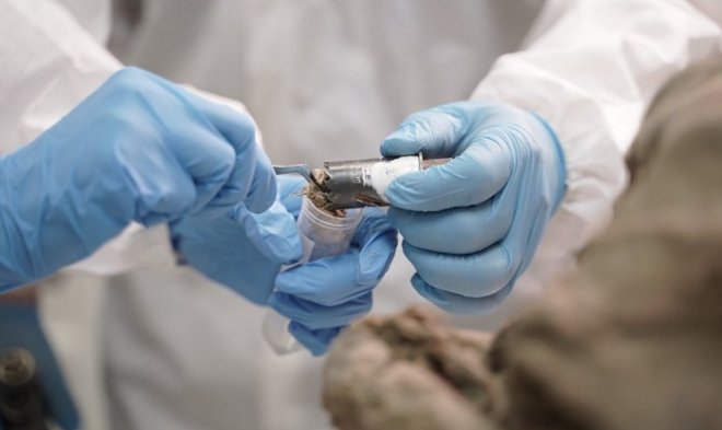 Российские ученые из «Вектора» исследуют древние вирусы сибирской вечной мерзлоты