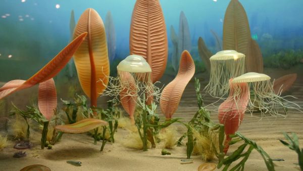 Ученые нашли сходство между людьми и странными древними существами