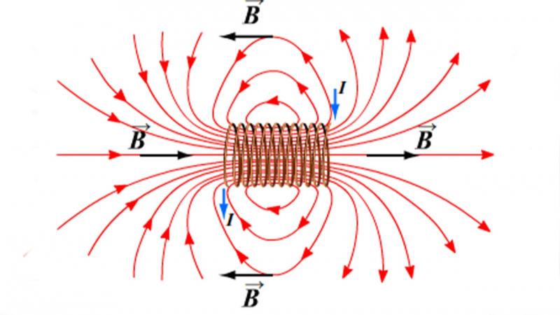 Ученые нашли связь между сменой магнитных полей и вымиранием неандертальцев