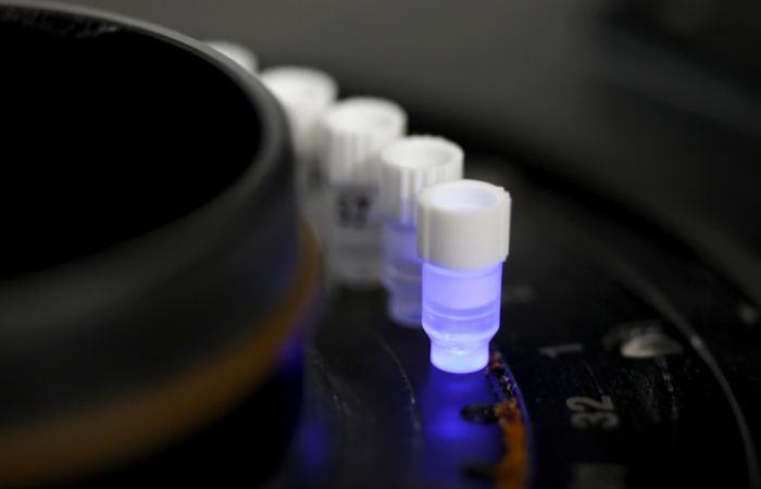 В России выявлен "южноафриканский" штамм коронавируса