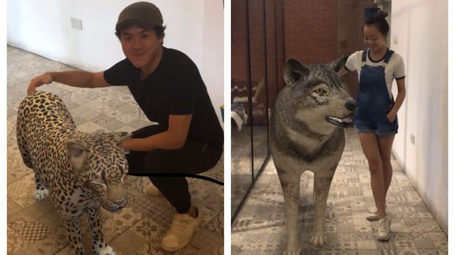 В виртуальный зоопарк Google добавили 50 новых животных