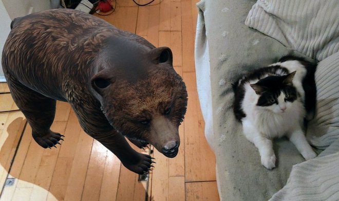 В виртуальный зоопарк Google добавили 50 новых животных