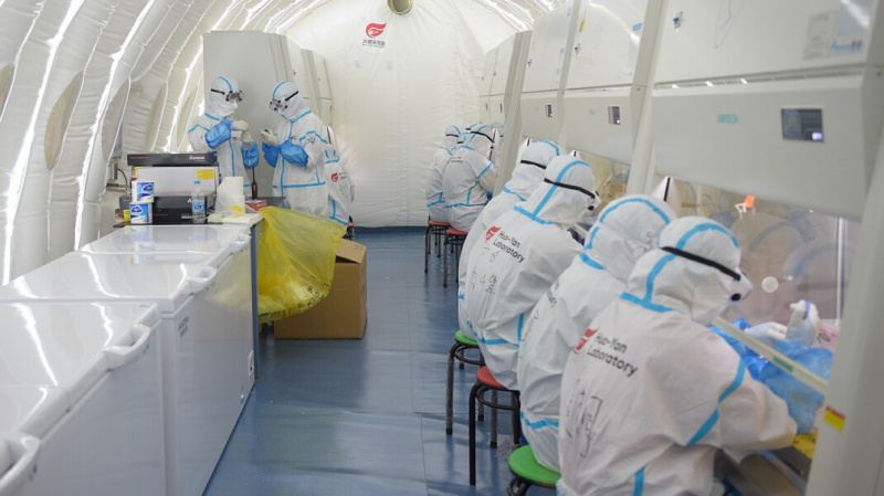 ВОЗ назвала наиболее вероятный способ передачи COVID-19: от летучих мышей к человеку через другое животное