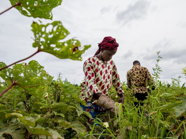 Возобновляемая энергетика: фундамент для цивилизационной катастрофы?