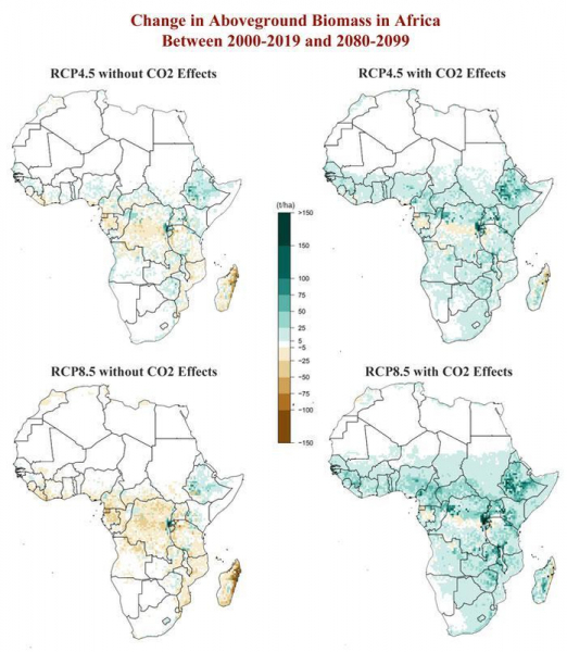 Возобновляемая энергетика: фундамент для цивилизационной катастрофы?