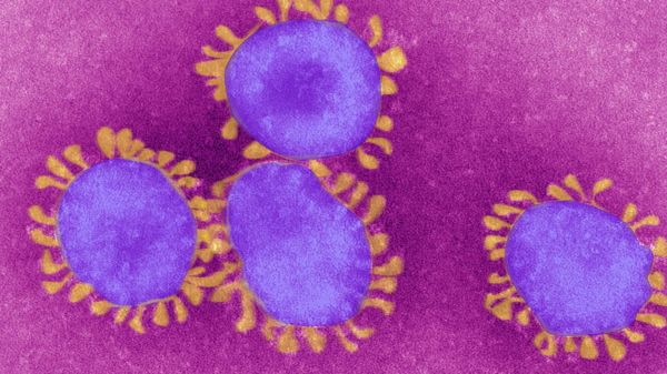 Коронавирус: американцам не советуют посещать 80% планеты, Оксфорд заражает переболевших по новой