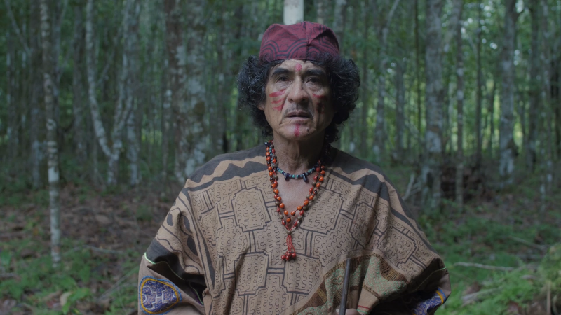 Айяуаска против рака. Режиссер Настя Коркия о путешествии за чудом к берегам Амазонки и фильме "Я счастлива"