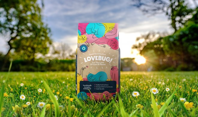 Британская компания Lovebug выпустила первый в стране кошачий корм из насекомых