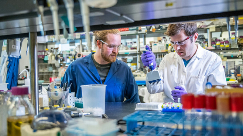 Число учёных, уезжающих из России за границу, выросло в пять раз с 2012 года