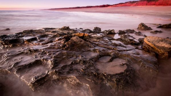 Древний бурильщик: о чем говорит находка российских ученых