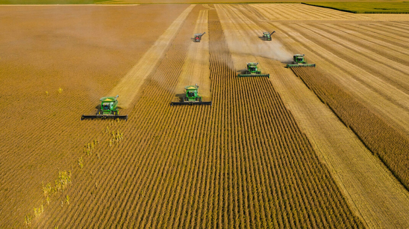 Фонд предполагаемой дочки Путина вместе с научным руководителем президента занялись испытаниями удобрений