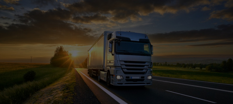 Грузоперевозки, такси и строительство: какой бизнес чаще всего открывают россияне 