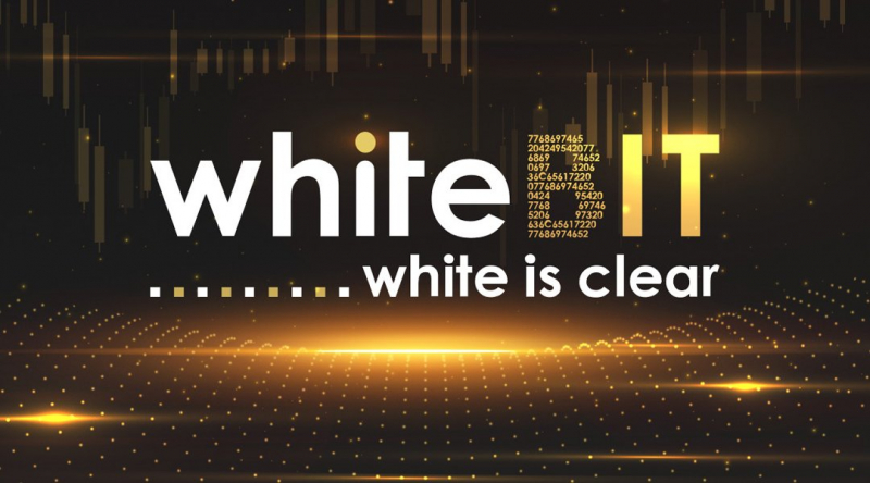 Интервью с блокчейн-разработчиком WhiteBIT Николаем Ивановым