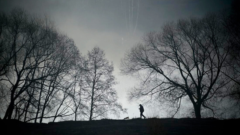 Каждый третий россиянин боится одиночества. Чаще других на это жалуются люди с низким доходом