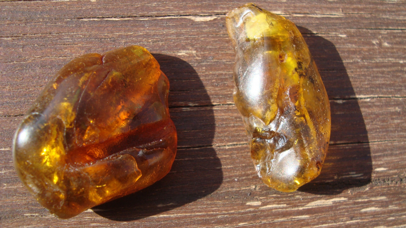 Медицинский янтарь поможет пациентам с трудноизлечимыми болезнями