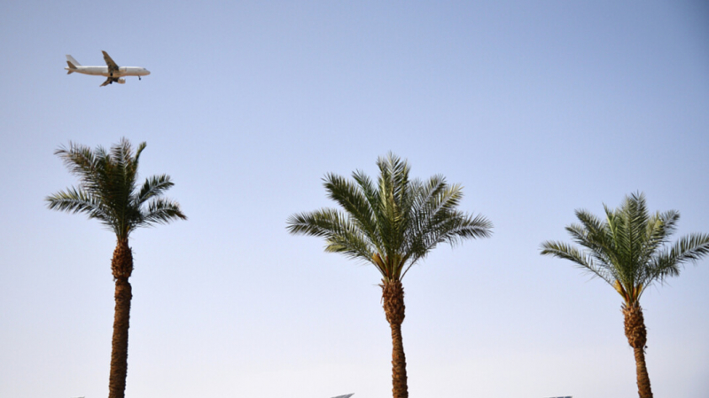 МИД России анонсировал открытие чартерных рейсов в Египет в &laquo;ближайшее время&raquo;