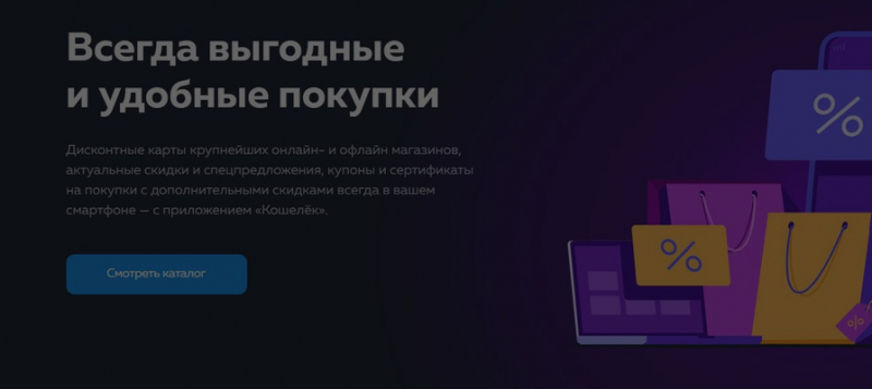 &laquo;На самом деле жалко&raquo;: CEO BenefittY предсказал судьбу &laquo;Кошелька&raquo; после сделки с &laquo;Тинькофф&raquo; 