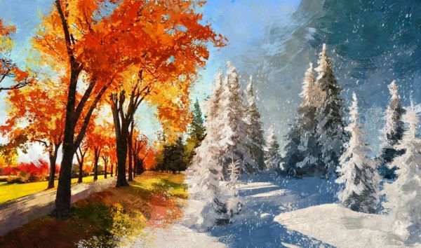 Названы сезоны, которые влияют на организм человека