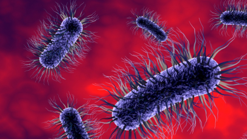 Обнаружены микробы, которые появляются в недрах Земли после извержений вулканов