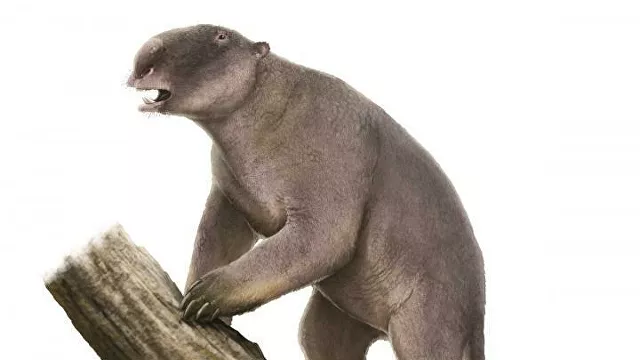 Опровергнута гипотеза исчезновения мегафауны Австралии
