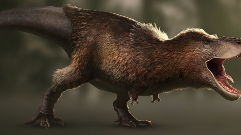 Палеонтологи подсчитали общее количество тираннозавров на планете