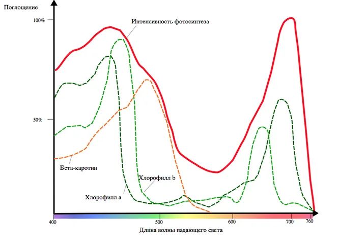 Почему Земля &mdash; не самое лучшее место для жизни: идеальный мир