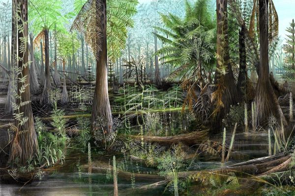 Показано влияние вращения Земли на древнее массовое вымирание