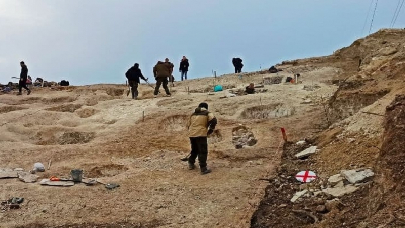 Российские ученые разгадали тайну послания на Шигирском идоле