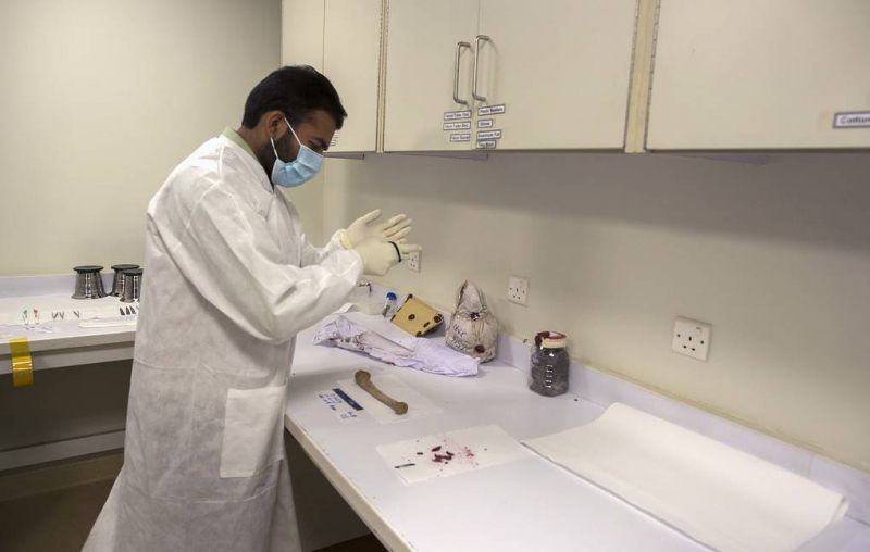 Шея крупнейших птерозавров Земли в разрезе оказалась похожа на велосипедное колесо