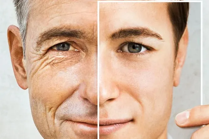 Ученые хотят победить старость, но как далеко им удалось зайти?